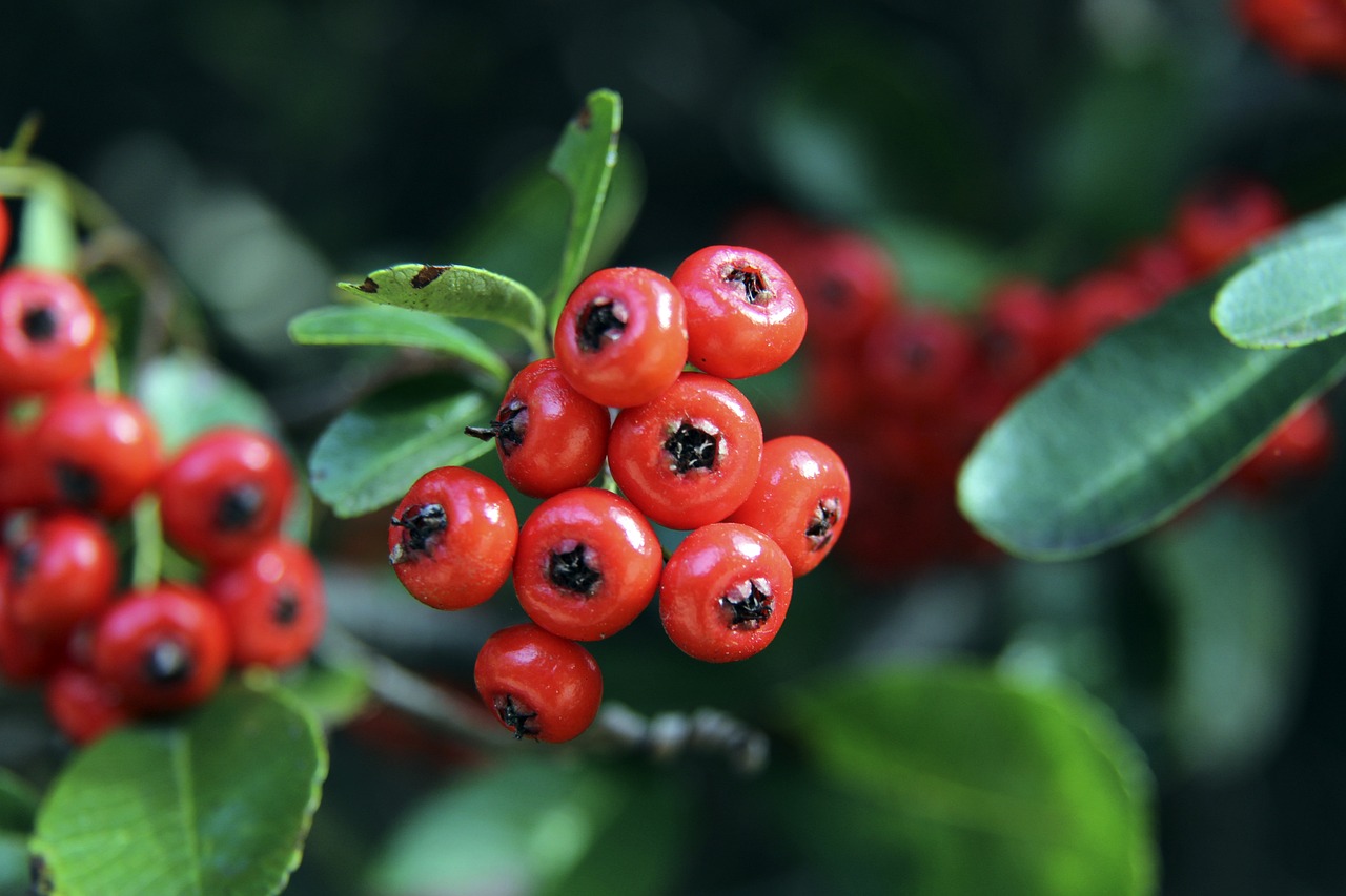 不胜感激 不胜感激