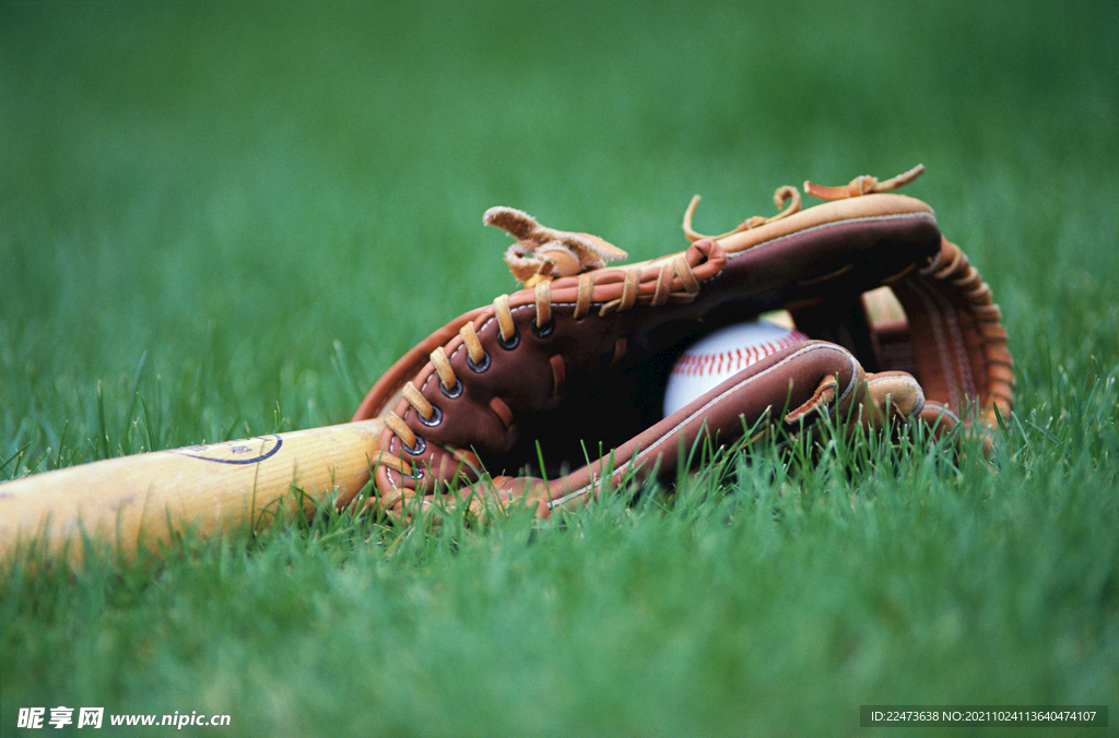 而当春光洒 而当春光洒