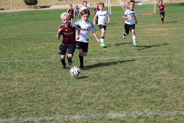 迎來更強大 迎來更強大