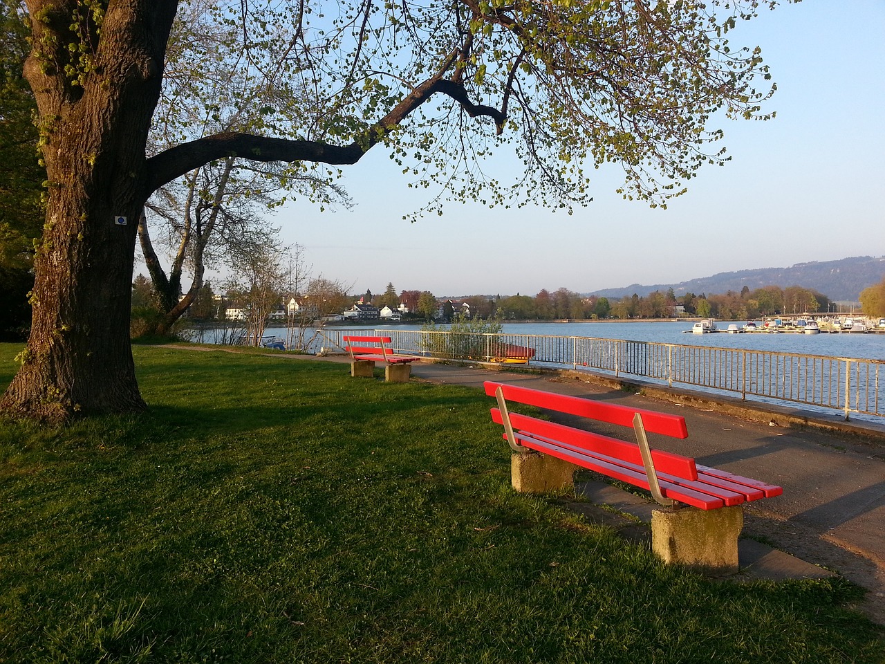 荣誉的重任 荣誉的重任